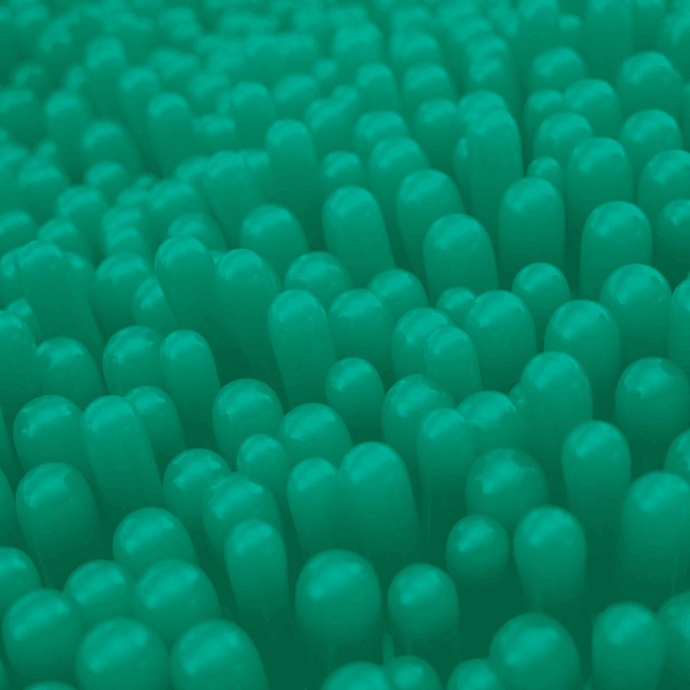 The Pioneer in Postbiotics*