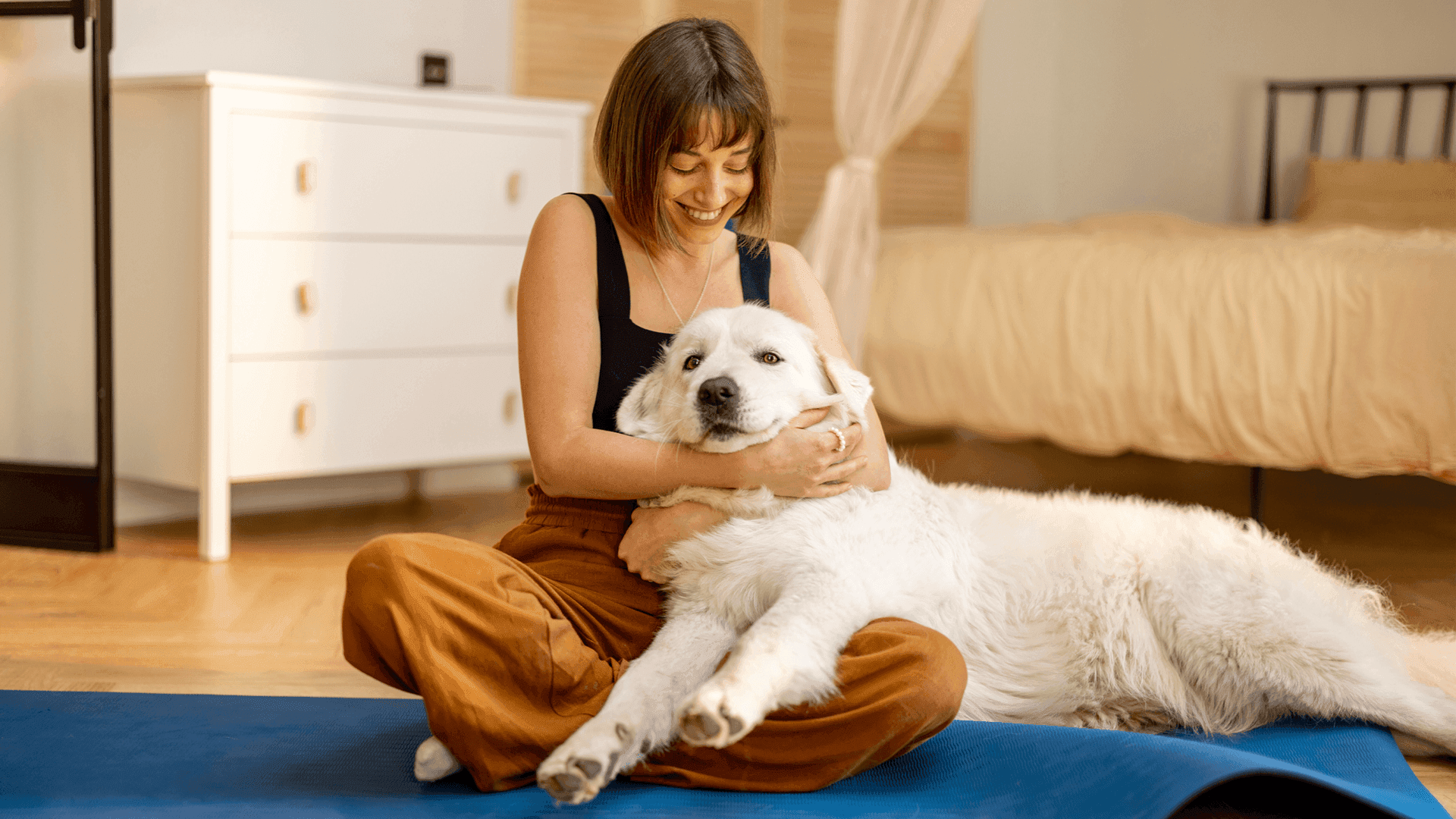 Formulate your pet product with the purity of curcumin.